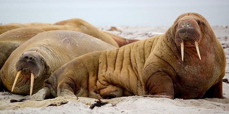 从美妆到旅行：破解女性社交焦虑的成因与生活分享应对策略