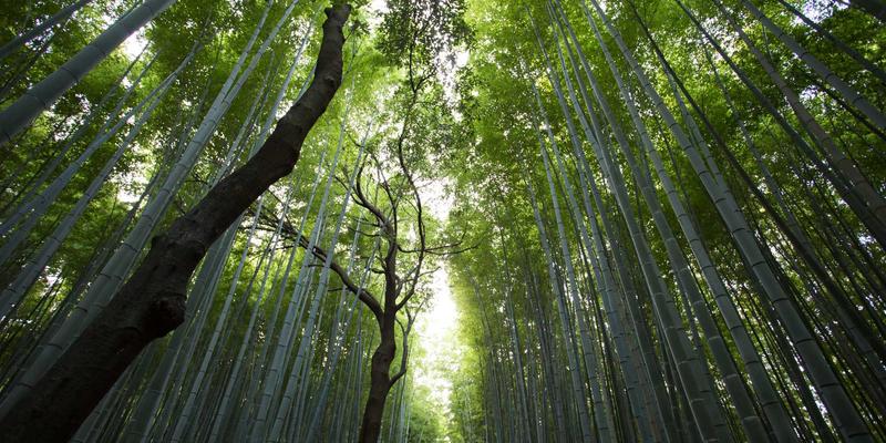 从美妆到旅行：职场女性如何通过闺蜜圈建立高效人脉网络