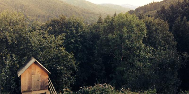 从闺蜜圈到兴趣社区:女性社交的63种可能