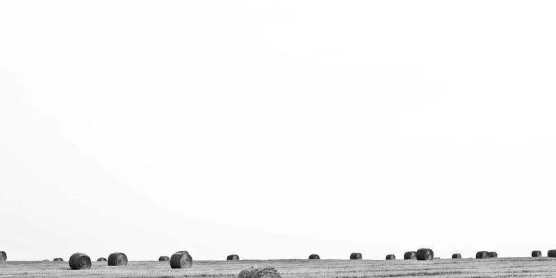 内向型女性如何通过写作与内容创作，在女性论坛与时尚美妆领域实现低压力社交