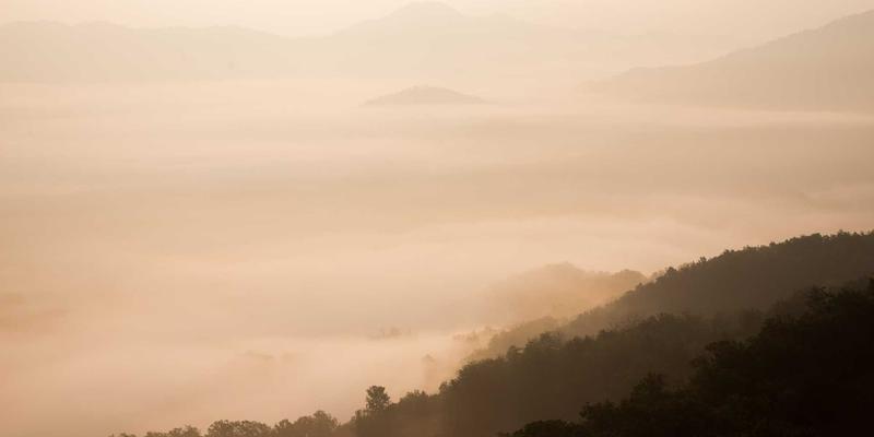 内向型女性领导者如何通过深度倾听与小型聚会在美妆时尚社区建立影响力