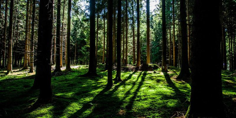 单身女性如何通过旅行与兴趣社区拓展生活圈？3个技巧找到志同道合的闺蜜