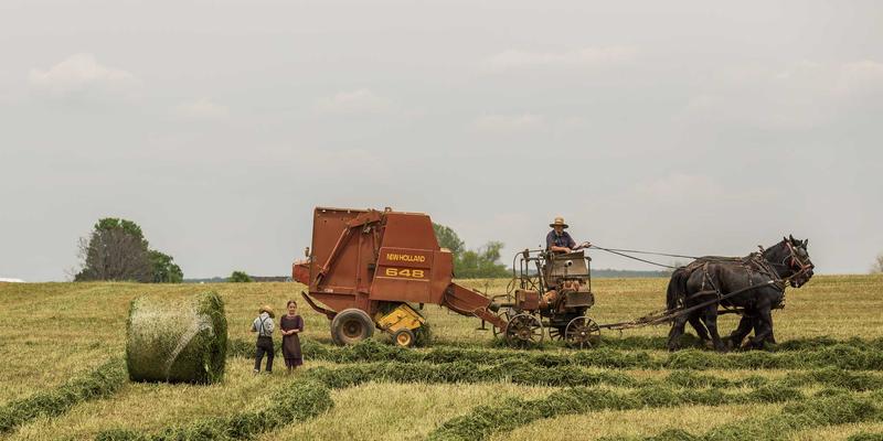 女性社交2.0时代：时尚、论坛与闺蜜，如何重塑当代女性的社交版图？