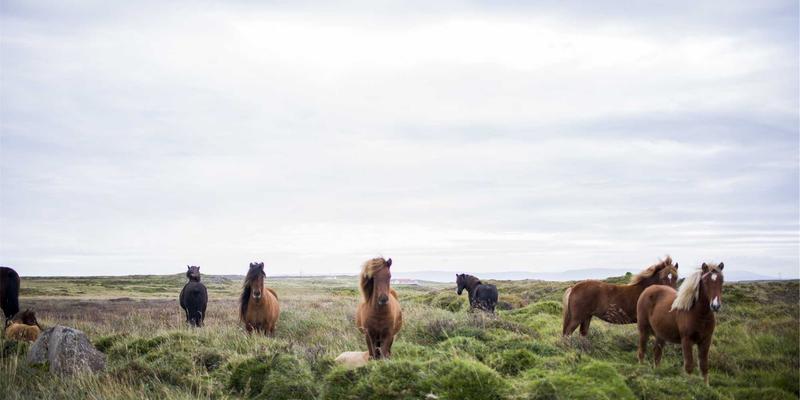 女性社交3.0时代：在兴趣社区与女性论坛中，重新定义旅行与联结
