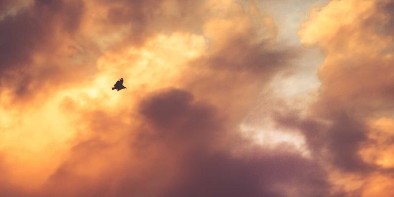 女性社交49：从闺蜜圈到女性论坛，当代女性的多维联结图谱