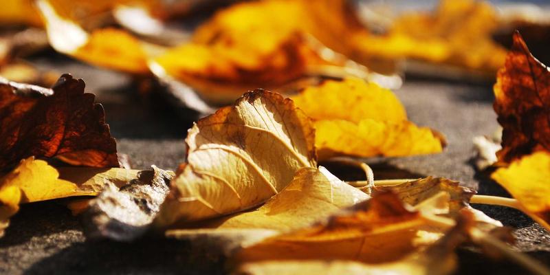 女性社交5.1时代：在兴趣社区中，与闺蜜共赴时尚与成长的盛宴