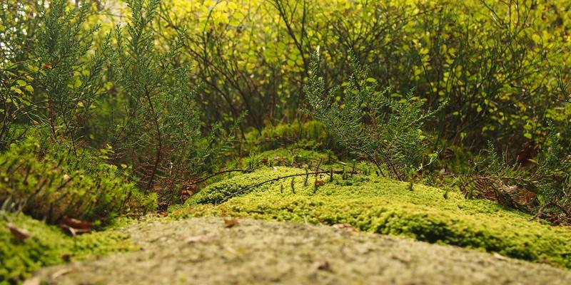 女性社交77：在生活分享与时尚论坛中，找到属于你的成长圈层