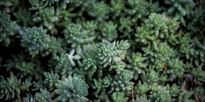 女性社交94:从闺蜜圈到女性论坛,当代女性的多维社交图谱