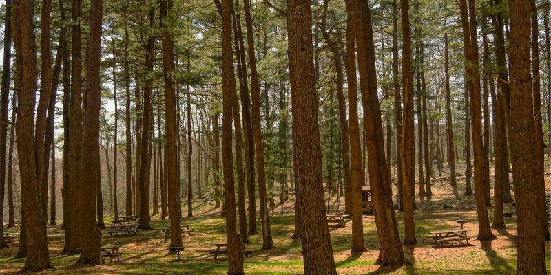 女性社交新手指南:从论坛到生活分享,开启你的时尚社交圈