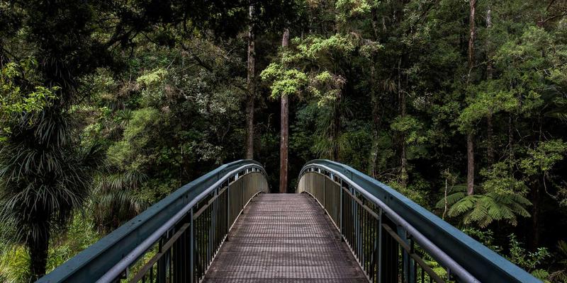 女性社交新浪潮：兴趣社区与女性论坛如何重塑当代女性旅行方式
