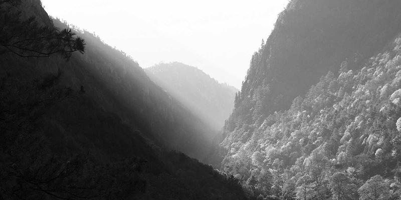 女性社交新浪潮:美妆、兴趣社区与旅行如何重塑当代女性连接方式