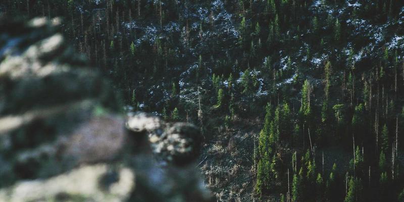 数字游民女性：与全球闺蜜在线分享时尚与生活，建立深度社交网络