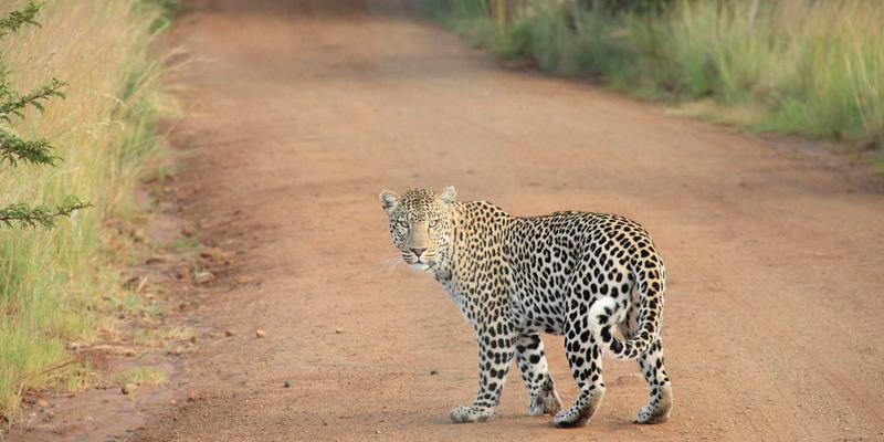 时尚声浪：女性如何通过播客在兴趣社区与论坛中建立深度思想连接