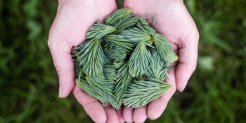 突破职业天花板：女性论坛与兴趣社区中的结构化社交力量